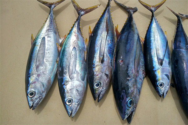 商務(wù)部：將幫助外貿(mào)企業(yè)擴(kuò)寬內(nèi)銷渠道，政策解讀！
