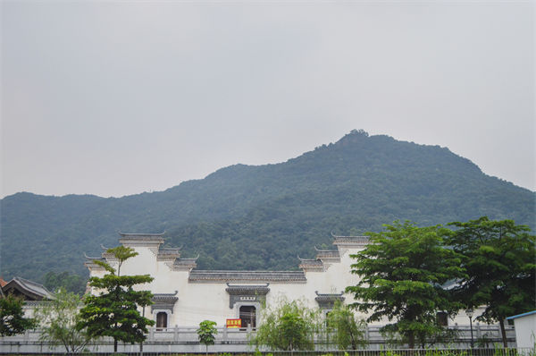 子公司各自為戰(zhàn)內(nèi)耗大，佛山集團(tuán)管控咨詢公司有何整合之道？